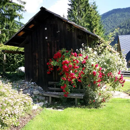 Apartament Schwalbennest By Interhome Bad Kleinkirchheim