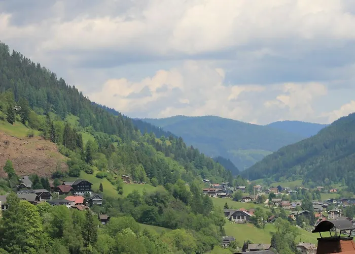 Schwalbennest By Interhome Apartment Bad Kleinkirchheim