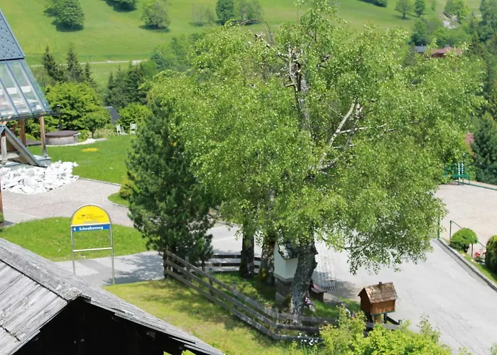 Apartment Schwalbennest By Interhome